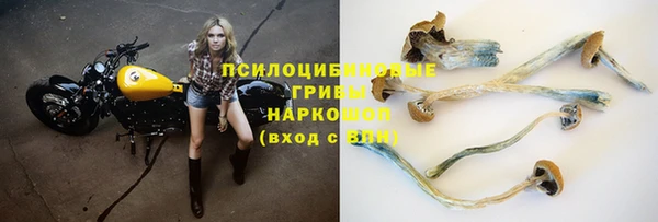 твердый Пересвет