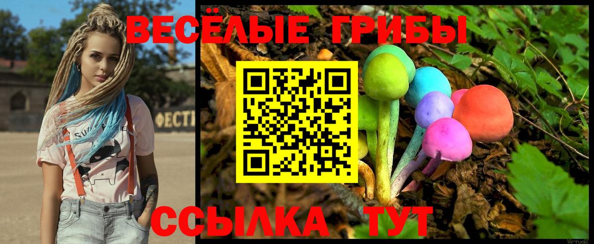 Псилоцибиновые грибы Magic Shrooms  Вход с VPN  Саки  Галлюциногенные грибы мухоморы 